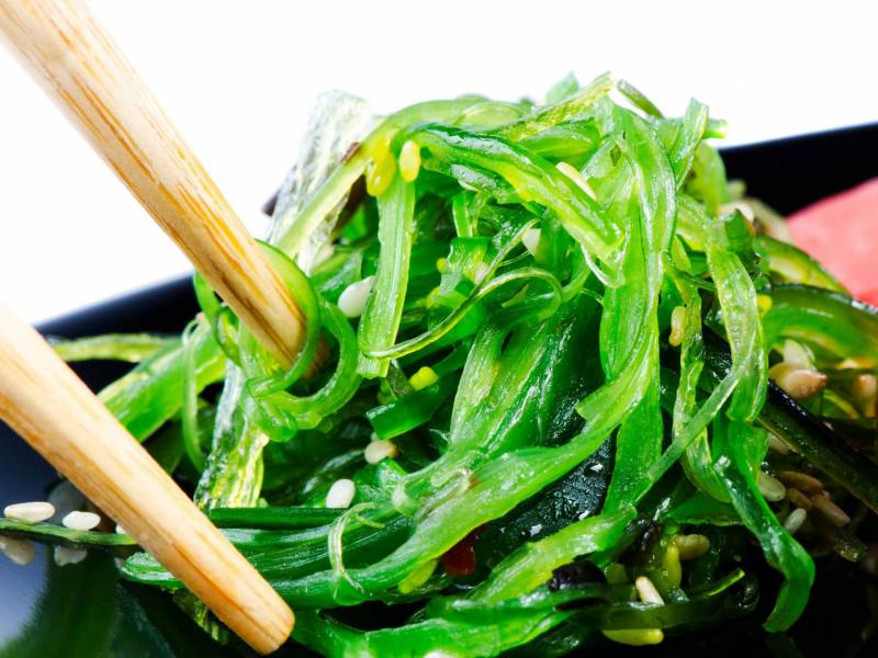 Salade japonais choux ou wakame (algue verte)
